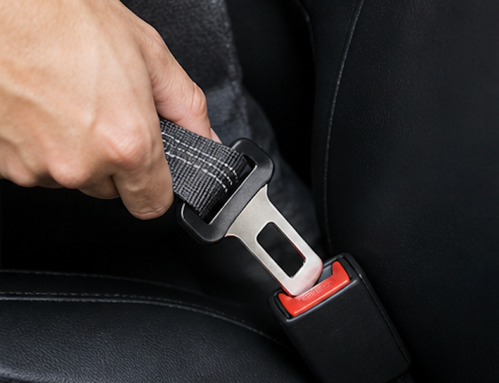 Safe Ride Pet Seat Belt