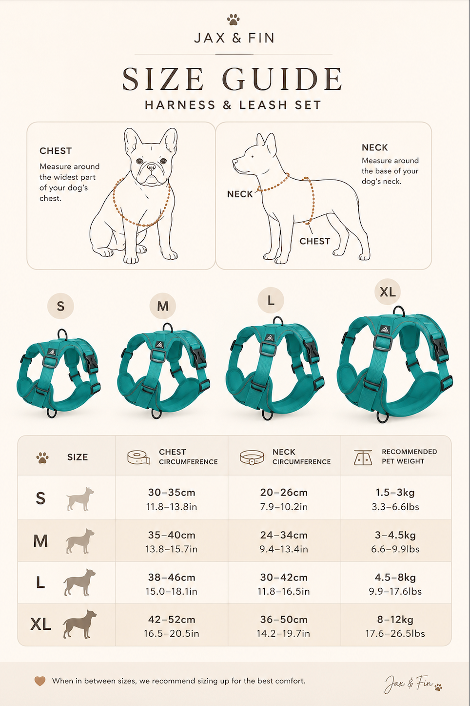Stride Harness & Leash Set